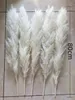 Ghirlande di fiori decorativi naturali 90-120 cm Pampas Prairie Oversize bianco grigio secco Bouquet Fluffy Family Decorazione bohémien Decorazione floreale 231214