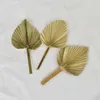 Decorative Flowers Wreaths Natural Dried Palm Leaves Tropical Dried Palm Fans Boho Dry Leaves Decor For Home Kitchen Wedding Bouquet Fleure Sechee 231214