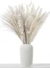 Flores decorativas Grinaldas 85 Pcs Branco Flores Secas Reed Bouquet Seco Pampas Ramos Arranjo Casamento Cauda Grama Dekoration Decoração de Casa 231214