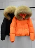 Parka da donna Janveny Grande pelliccia di procione naturale con cappuccio Piumino invernale da donna Piumino corto Cappotto soffice Donna 90% piumino d'anatra Parka di pane spesso 231214