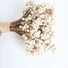 Ghirlande di fiori decorativi 20 pezzi batuffoli di cotone naturale piante di fiori secchi secchi veri mazzi di frutta bianca fiori decorativi per feste decorazioni per la casa di nozze fai da te 231214
