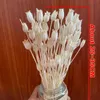 Decorative Flowers Wreaths 0.5~1CM Head/50 Flower Heads Decorative Dried Natural Flowers Bellflowers Dry Campanula Fruit For Bedroom Decor Home Decoration 231214