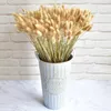 Flores decorativas grinaldas 60 pçs seco coelho cauda grama natural pampas artificial lagurus ovatus casa boho decoração casamento arranjo floral 231215