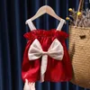 Girl Dresses Princess Big Bow Baby Dress Summer Tutu Wedding Birthday Party Kids For Girls Children's Costume Chirstmas Gifts