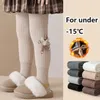 Leggings Collants Hiver Enfants Peluche Épaissir Collants Bébé Lapin Cachemire Bébé Collants Leggings Chauds pour Enfants Filles Pantys Enfant Bas 231215