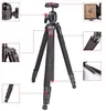 Aksesuarlar WF6662A Fancier FT6662A Bilyalı Kafa Kameralı Fotoğraf DV Teleskop Tripod