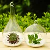 Tenture murale en verre terrariums planteur vase à fleurs oblat terrariums globe en verre support de pot de plante d'air pour la décoration de Noël à la maison idée cadeau