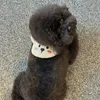 Vêtements de chien mignon peluche dessin animé ours automne et hiver écharpe chaude chat chiot bave serviette bavoir double usage Bichon Teddy accessoires