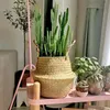 Woven Dirty Storage Seagrass Wickerwork Rattan Hanging Flower Pot Plant Organizer Garden Gadgets Holder 240103