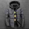 Heren donsparka's Winter Warm Heren Jasje Casual Herfst Opstaande Kraag Puffer Dikke Hoed Witte Eend Parka Mannelijke Heren Winter Donsjack Met Kap 231215