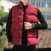 Gilets pour hommes Gilet rembourré en coton Automne et hiver Vestes sans manches chaudes Col montant Épaissi Tendance Hommes Down Gilet Veste