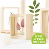 Cadres Style nordique feuilles de fleurs séchées bricolage plante pressée photo double face verre cadre en bois décoration de la maison mur art 1pc1 goutte de dhljf