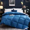 Set di trapunte Pane 3D Morbido piumino d'oca Piumino Piumino invernale Coperte autunnali Letto di piume Trapunta trapuntata Coperta Singola Completa Doppia King Size 231215