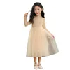 Girl Dresses Kids Toddler Spring Fall Clothes Long Sleeve Tutu Dress