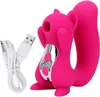 Jouets sexuels double plaisir écureuil vibrateur stimulateur clitoridien à impulsion d'air, produits sexuels de succion clitoridienne