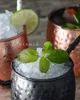 Moscow Mule Kupferbecher, 100 % reine, massive Kupferbecher, 18 oz, Premium-Geschenkset mit Cocktail-Kupferstrohhalmen, Schnapsglas und Rezeptheft