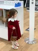 女の子のドレスクリスマスレッドドレス女の子冬の子供たちの女の子ゴールドベルベットプリンセスドレスベビーガールドレス231215