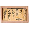 Storage Bottles Wood Rubber Stamp Set Strip Flower Plant Decorative Wooden Seals Mounted Journaling Scrapbooking Diary Diy Crafting Card