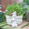 Jardinières Pots Mignon Animal Lapin Planteur Pot Succulent Seuil Lotus Eau Culture Décor Statue Jardin Balcon Patio Lapin Pot de Fleurs 231215