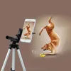 Aksesuarlar Taşınabilir Ayarlanabilir Tripod Esnek Stand Mount Tutucu Klip Seti Samsung JY20 için Telefon Kamerası için Evrensel Tripodlar 20 Dropship