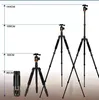 Aksesuarlar Beike QZSD Q999S Profesyonel Fotoğraf Taşınabilir Alüminyum Alaşım Kiti Monopod Stand Ball Head Seyahat DSLR Kamera