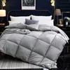 Set di trapunte Pane 3D Morbido piumino d'oca Piumino Piumino invernale Coperte autunnali Letto di piume Trapunta trapuntata Coperta Singola Completa Doppia King Size 231215