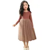 Girl Dresses Kids Toddler Spring Fall Clothes Long Sleeve Tutu Dress