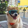 Dog Apparel Adjustable Pet Goggles Sunglasses Sun Glasses Eye Wear Protection Waterproof Windproof Decoration