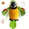 Diğer oyuncaklar Macaw Papağan Konuşan Doldurulmuş Hayvan Peluş Oyuncak Elektronik Kayıt Animasyonlu Birds Pet 231215