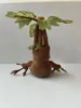 Anime science fiction film TV Plush Animal Toy Mandrake Doll Boys Dziewczęta urodziny Dziecięce Święta Bożego Narodzenia 26CM DHL