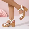 Sandalen Weibliche Mode Schuhe 2023 Sommer Ankle Strap Ferse Schuh Für Frauen Vintage Kleid Offene spitze Damen Plattform