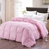 Set di trapunte Pane 3D Morbido piumino d'oca Piumino Piumino invernale Coperte autunnali Letto di piume Trapunta trapuntata Coperta Singola Completa Doppia King Size 231215