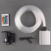 DIY Neon Sign 5W RGB LED Light Engine 200st 0 75mm 2M Long End Glow PMMA Optical Fiber Kit 24Key IR Remote191L