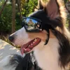 Одежда для собак Miflame, очки для домашних животных, регулируемые солнцезащитные очки для принадлежностей, очки для плавания, очки для домашних животных, водонепроницаемые очки для таксы