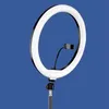 Tillbehör Selfie Fill Light Selfie Ring Light USB Ring Light LED Circle Lights med stativtelefonhållare för live stream/makeup/YouTube