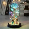 2020 LED Enchanted Galaxy Rose Eternal 24k Gold Foil Flower With Fairy String Lights in Dome for Christmas Valentine's Day GI219B