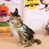 Cão vestuário capa para animais de estimação elegante pet bruxa capa chapéu conjunto festa de halloween festival gato cosplay traje decoração do feriado presente