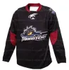 Hockey Custom Retro Cleveland Lake Erie Monsters Hockey Jersey genäht Größe Xxs-6Xl Jeder Name und jede Nummer Top-Qualität-Trikots