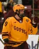 Хоккейные майки Custom Minnesota Golden Gophers Хоккейная майка 2 Джексон ЛаКомб Брок Фабер Райан Джонсон Джексон Нельсон Джимми Снаггеруд Мэтью