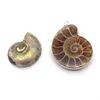 Pendant Necklaces Natural Shell Conch Snail Shape Hemming Craft Brown DIY Jewelry Making Creative Gift Necklace Accessories