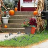 Gartendekorationen 12pcs Halloween Decorative Gardens Stakes Yard Rasen fallen