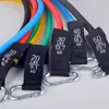 Bungee 12pcs مقاومة نطاقات المقاومة تعيين كمال الأجسام معدات الصالة الرياضية المهنية تدريب احترافي الوزن اللياقة المرن المطاط مرنة 231216