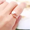 Anillos de racimo elegante encantador flor de hoja de cristal para mujeres moda boda compromiso declaración femenina romántica regalo de San Valentín