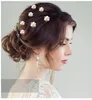 Hair Clips 6pcs Bridal Wedding Accessories Rhinestone Pins Forks For Women Pearl Bride Headpiece Party Jewelry Gift