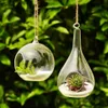 Globe en verre suspendu au mur, plante à air ronde, support de jardinière de terrarium, pots de fleurs, vase de terrarium, ornement pour fleur, mousse, bougie chauffe-plat