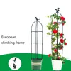 Planters Pots 1Set Climbing Plant Trellis Garden Support Cages For Flowers Plants Frame DIY Flower Vines Pot Stand 231216