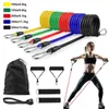 Bungee 11pcsset LaTex Oporności oporności na trening CrossFit Ćwiczenie jogi rurki ciągnij gumę gumową expander elastyczne wyposażenie fitness 231216