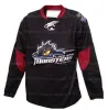 Hockey Custom Retro Cleveland Lake Erie Monsters Hockey Jersey Gestikt Maat XXS-6XL Elke naam en nummer Topkwaliteit Jerseys