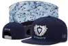 Baseball-Team-Hysteresenkappe, alle Ballkappen, Hüte für Männer und Frauen, verstellbare Sportvisiere, Hip-Hop-Kappen, freies Schiff