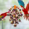 Other Bird Supplies Large Parrot Chewing Toys Natural Nuts Corn Tearing Toy Wooden Cage for Cockatoos African Grey Macaws Cokatoos 231218